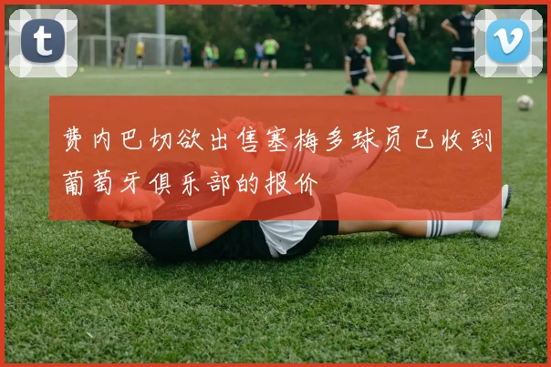 费内巴切欲出售塞梅多球员已收到葡萄牙俱乐部的报价