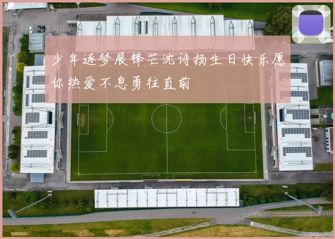 少年逐梦展锋芒沈诗扬生日快乐愿你热爱不息勇往直前